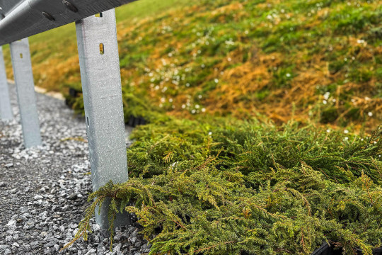 Krivánska R2 zapúšťa korene